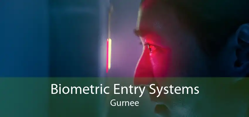 Biometric Entry Systems Gurnee