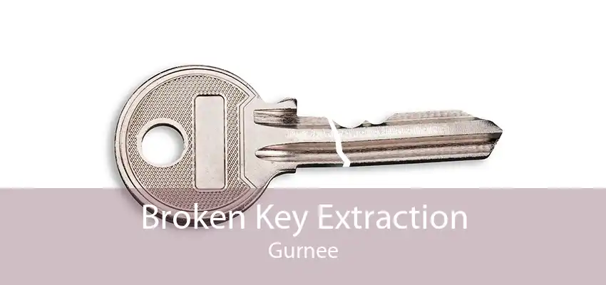 Broken Key Extraction Gurnee