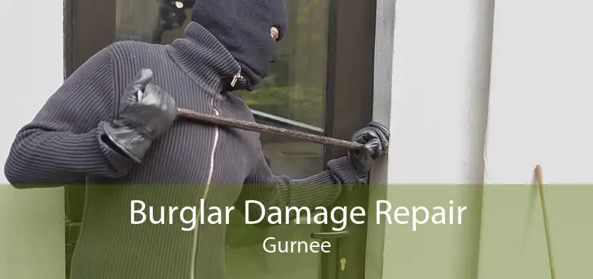 Burglar Damage Repair Gurnee