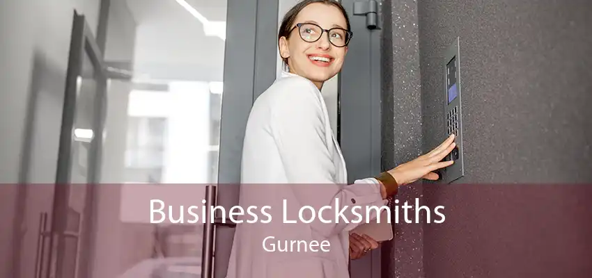 Business Locksmiths Gurnee