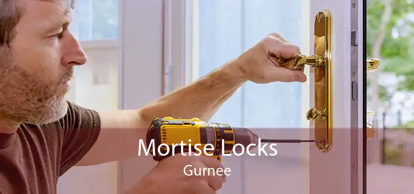 Mortise Locks Gurnee