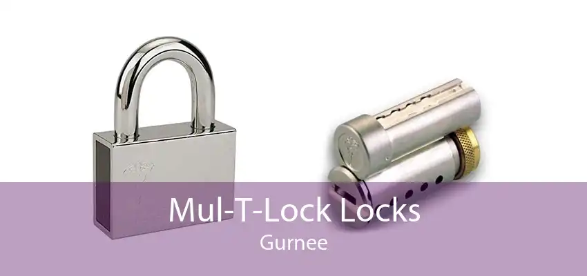 Mul-T-Lock Locks Gurnee