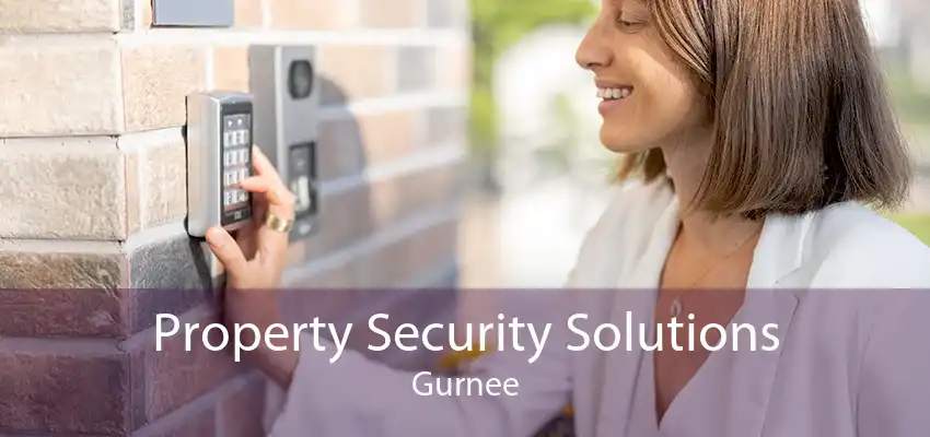 Property Security Solutions Gurnee