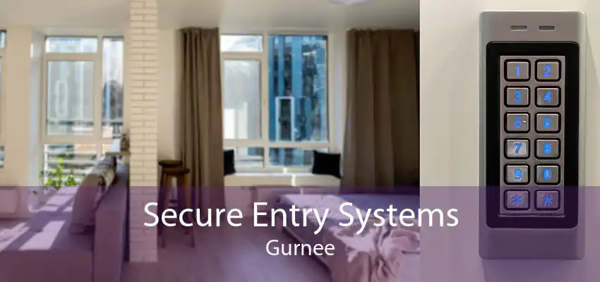 Secure Entry Systems Gurnee